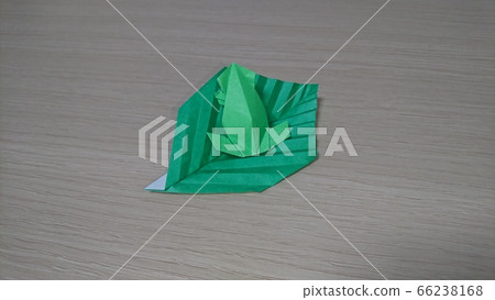 Origami Origami 66238168