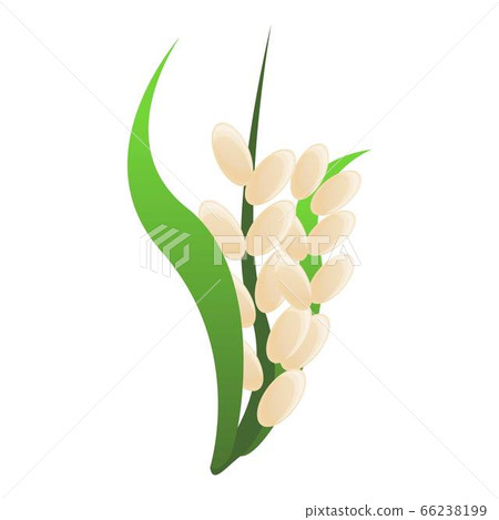 Rice plant icon, cartoon style 66238199