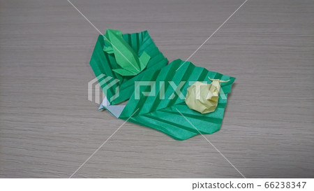 Origami Origami 66238347