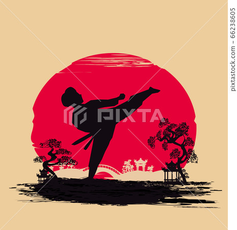 Creative abstract illustration of karate fighter 66238605