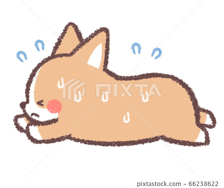 Heatstroke corgi 66238622