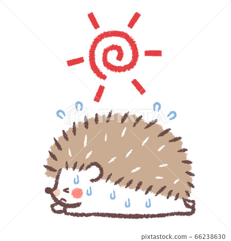 Sun and heat stroke hedgehog 2 66238630