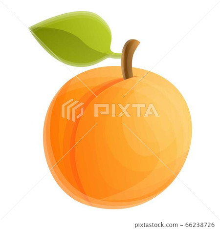 Garden tree apricot icon, cartoon style 66238726