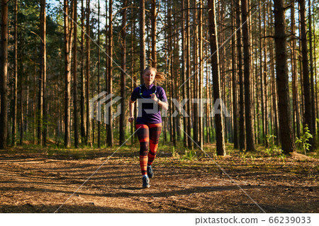 young woman jogging in a pine forest 66239033