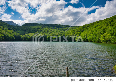 Kakinuma in early summer 66239250