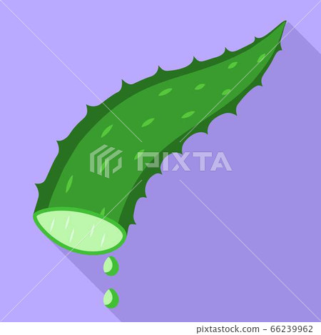 Aloe vera leaf icon, flat style 66239962