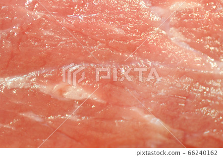 Close-up of raw meat 66240162