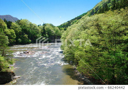 Fresh green Katashina Valley (Fukiwari Valley) [Numata City, Gunma Prefecture] 66240442