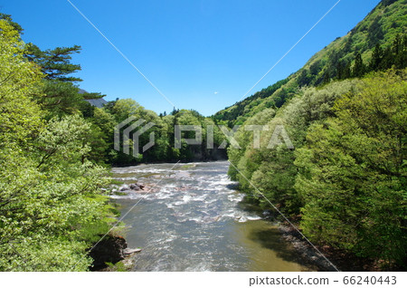 Fresh green Katashina Valley (Fukiwari Valley) [Numata City, Gunma Prefecture] 66240443