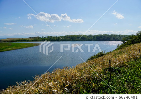 Holocayanto 66240491