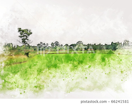 Abstract colorful shape on tree and field landscape watercolor illustration painting background. Abstract colorful shape on tree and field landscape watercolor illustration painting background. 66241581