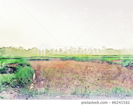 Abstract colorful shape on tree and field landscape watercolor illustration painting background. 66241582