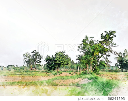 Abstract colorful shape on tree and field landscape watercolor illustration painting background. Abstract colorful shape on tree and field landscape watercolor illustration painting background. 66241593