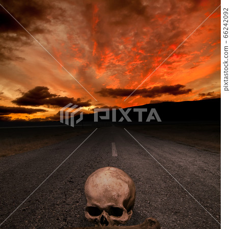 Halloween background 66242092