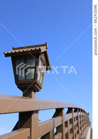 Soka pine row tree 66243096