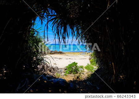 Northern Okinawa Nameless Beach 66243343