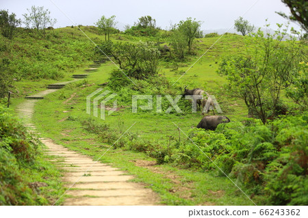Hiking on Caoling Trail Hiking on Caoling Trail 66243362