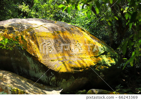 草嶺古道健行 草嶺古道健行 66243369