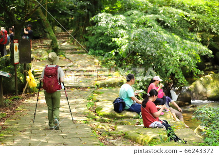 草嶺古道健行 草嶺古道健行 66243372