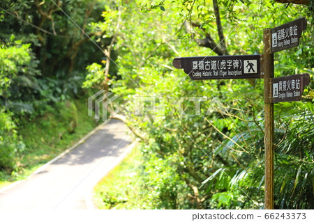 Hiking on Caoling Trail Hiking on Caoling Trail 66243373