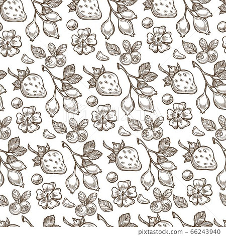 Strawberries and eglantine, flowers and berries seamless pattern 66243940