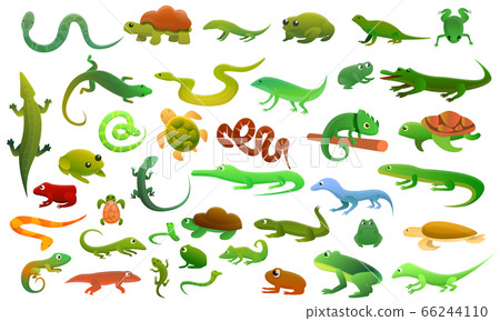 Reptiles amphibians icons set, cartoon style 66244110