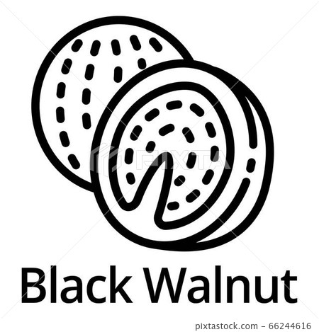 Black walnut icon, outline style Black walnut icon, outline style 66244616