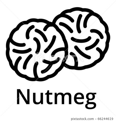 Nutmeg icon, outline style 66244619