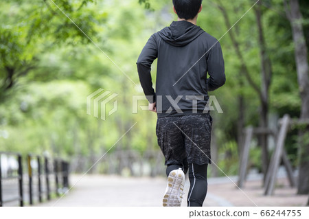 Men jogging in the fresh green Men jogging in the fresh green 66244755