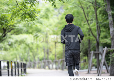 Men jogging in the fresh green Men jogging in the fresh green 66244757