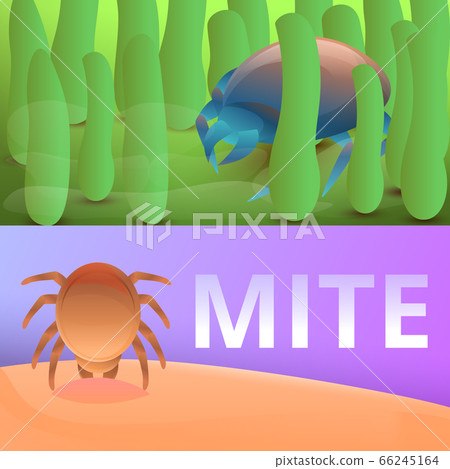 Insect mite banner set, cartoon style Insect mite banner set, cartoon style 66245164