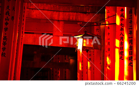 Thousand Birds 66245200