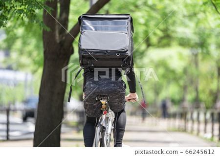 Food delivery image 66245612