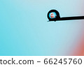 A human embryo on the tip of a needle. Artificial insemination. Test tube baby, IVF. A human embryo on the tip of a needle. Artificial insemination. Test tube baby, IVF. 66245760