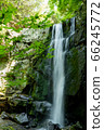 新鮮的綠色和瀑布 66245772