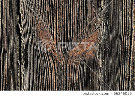 Textural drawing of an old pine board. Textural drawing of an old pine board. 66246036