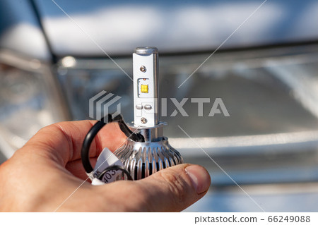 Light bulbs for car lamps. Light bulbs for car lamps. 66249088