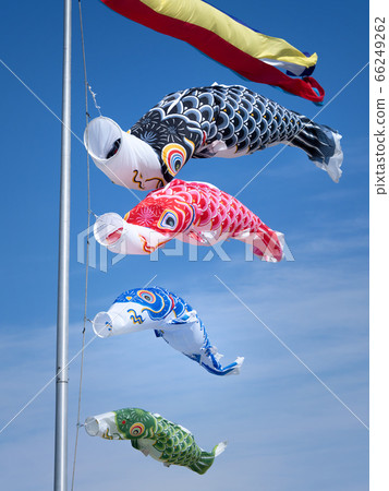 Koinobori fluttering in the blue sky in early summer 66249262