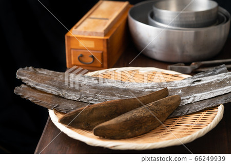 鰹魚和海狸 66249939