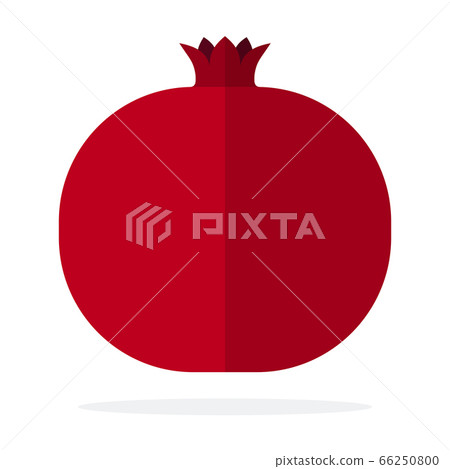 Whole ripe pomegranate vector flat isolated Whole ripe pomegranate vector flat isolated 66250800