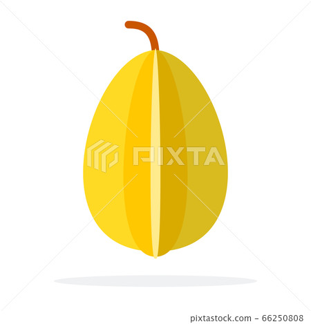 Whole fruit of the carambola vertically flat isolated Whole fruit of the carambola vertically flat isolated 66250808