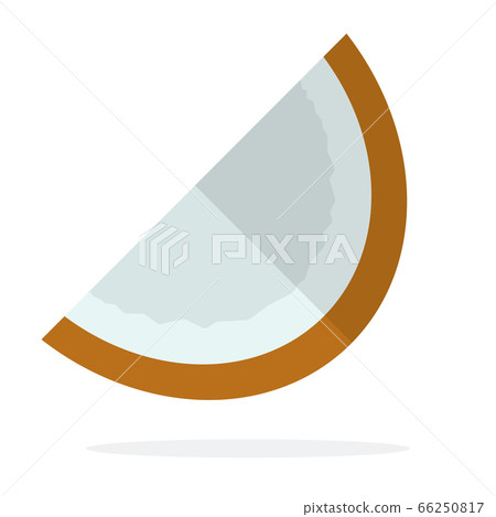 A piece of coconut vector flat isolated 66250817