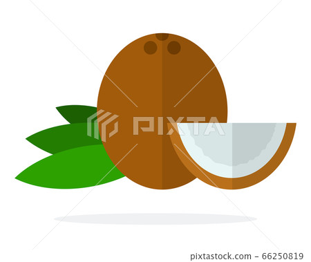 Whole coconut, coconut leaves and a piece of coconut flat isolated Whole coconut, coconut leaves and a piece of coconut flat isolated 66250819