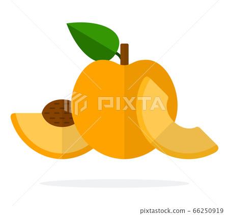Whole apricot, a piece of apricot with a stone flat isolated 66250919