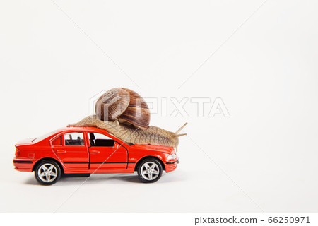 A horned snail sits on a red car.  66250971