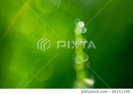 Ring of light (light image) Ring of light (light image) 66251106
