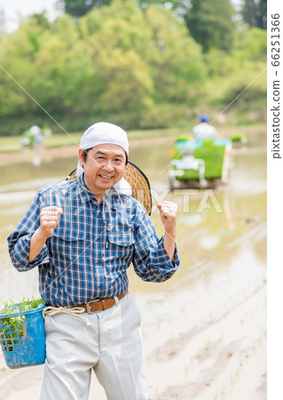 Men who plant rice 66251366