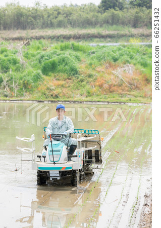 一個農民經營水稻插秧機 一個農民經營水稻插秧機 66251432