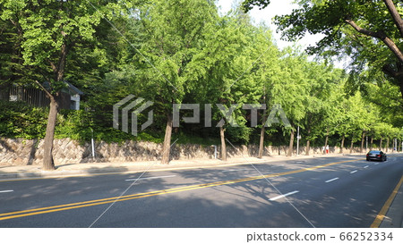 Namsan Namsan 66252334