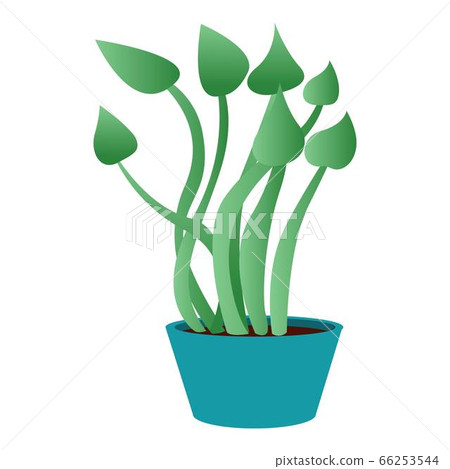 Botany houseplant icon, cartoon style 66253544